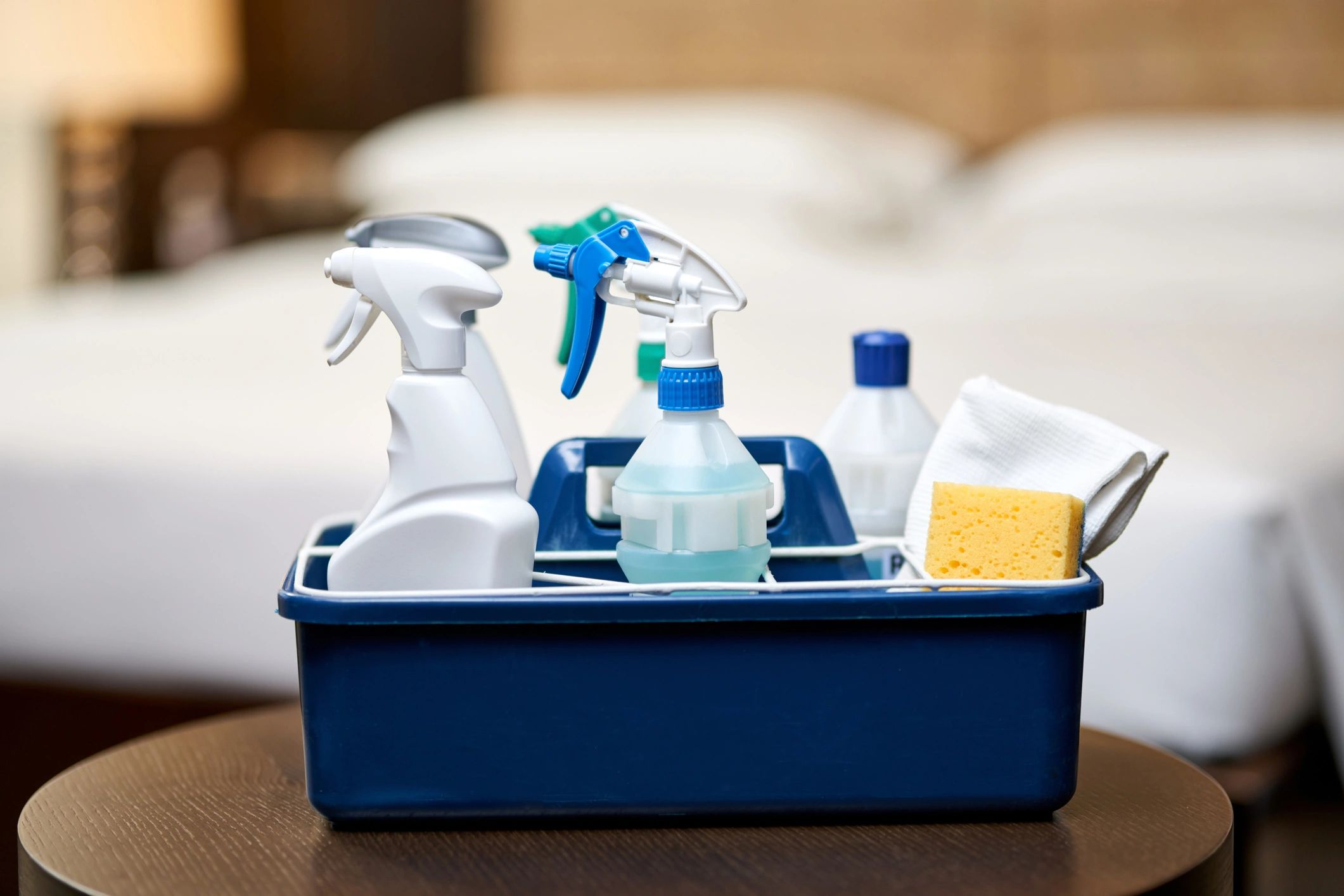 Cleaning supplies arranged for professional service